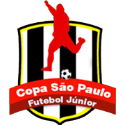 Brazilian Youth Cup