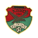 Sokol Nisko