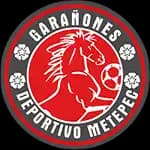 Deportivo Metepec