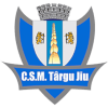 CSM Targu Jiu