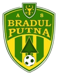 Bradul Putna