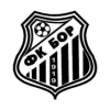 Bor 1919